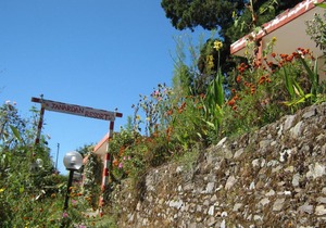 Janardan Resort Pangot, Nainital