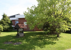 Klaffmuschel
