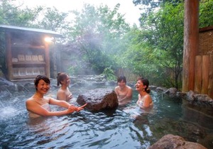 Kurokawa Mori no Cottage