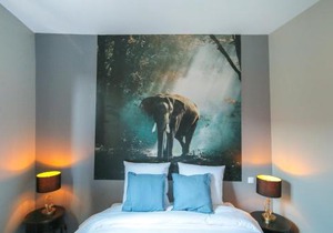 L'Eléphant, T2 hypercentre chic et cosy, Wifi par SOVALFI