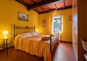 La pieve - Mimose
