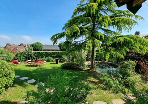 Le Nid de La Maison Saint Léonard | Lovely Shared Garden in the Heart of Ho