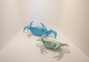 Le Vie del Porto, Apt. 1