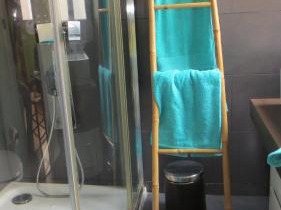 Loft-Terraza Laurel
