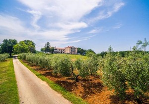 Lovely House LINDI in Poreč