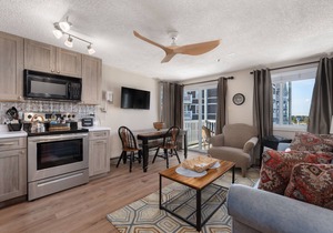 ML210|1BR,Ski In/Out,Ballhooter View