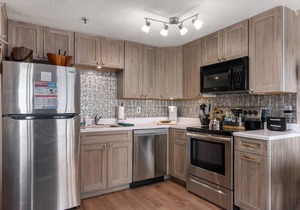 ML210|1BR,Ski In/Out,Ballhooter View