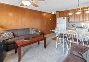 ML324 Charming & Rustic 1BR/1BA, relaxing mountain view (Connects to ML326)