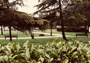 Montegrotto Terme - Thermal Flat