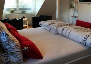 NEW / Landhaus Grandma Muh with 2 exclusive apartments a. very large property / near Dangast