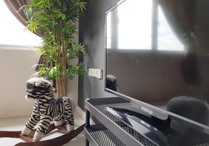 No.4 The Cave @ Puchong Skypod Residence