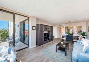 Palma 'Lush' Island Views