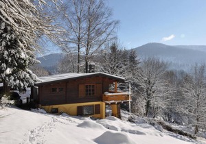 Paradis, South Vosges: Holiday chalet - Gerardmer