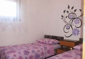 Pet-friendly Family Apartment Katty nr. 1