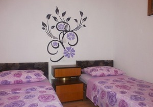 Pet-friendly Family Apartment Katty nr. 1