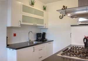 Pet friendly home in Vlagtwedde