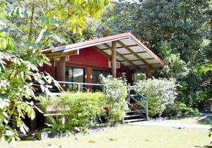 PK's Jungle Village