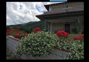 Poggio Dei Pettirossi Apartment