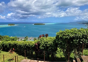 RAIATEA - Bungalow Apetahi 4
