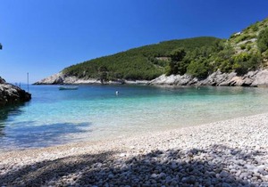 Secluded fisherman's cottage Cove Bratinja Luka, Korcula - 12599
