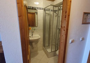 Single room - 24 - Landgasthof Brunnenwirt Zum Meenzer