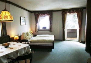 Single room with shower, WC - Hotel garni Landhaus Bürtlmair *