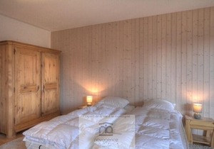 South facing studio with balcony, 1 double bed, 1 bathroom/WC, sofas, chimney and TV. The closed kit