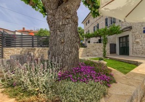 Stone villa Parentium with private pool in Porec
