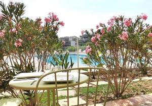 Studio Pool view #1