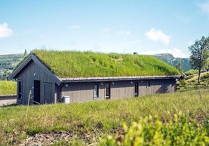 Stylish Cabin Retreat in Varden-By Traum