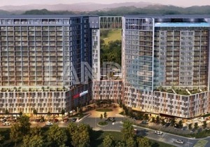 Suria Jelutong