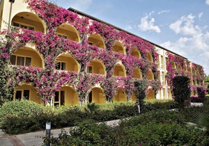 Tui Magic Life Calabria - All Inclusive