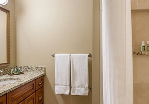 Two Bedroom Condo, Williamsburg Parkside, VA (2523855)