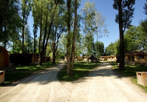 unusual lodgings in the heart of nature Roulette 1