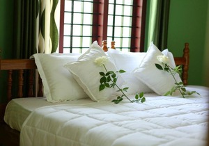 Wayanad Stay- The Coffee-suite
