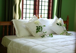 Wayanad Stay- The Coffee-suite