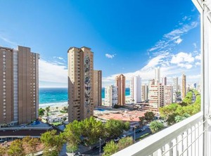 Albatros | Benidorm