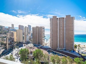 Albatros | Benidorm