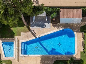 Albatros | Benidorm
