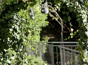 La Voce Del Fiume | Brienza