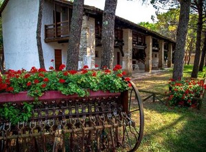 Belvedere Pineta | Aquileia