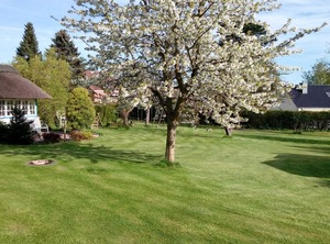 Neuklosterhof App | Rettin