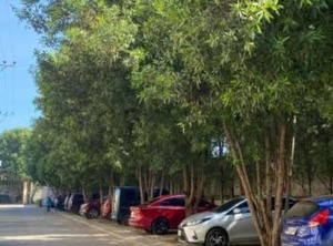 Cagayan De Oro Transient Hospital | Kauswagan