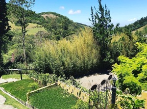 Stay Monteverde | Sierra