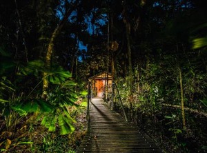 Daintree Wilderness Lodge | Diwan