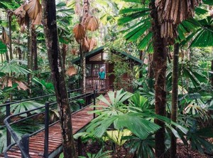 Daintree Wilderness Lodge | Diwan