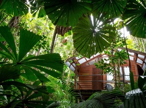 Daintree Wilderness Lodge | Diwan