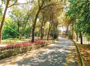 Gelso | Aquileia