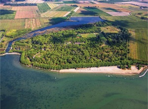 Gelso | Aquileia