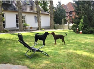Ferienwohnung | Kopendorf